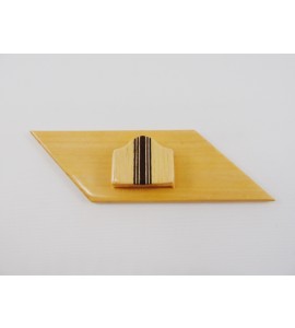 Placa Porta Nome Marfim