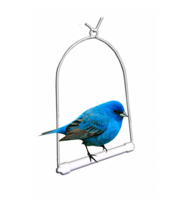 Balanço grande para pássaros