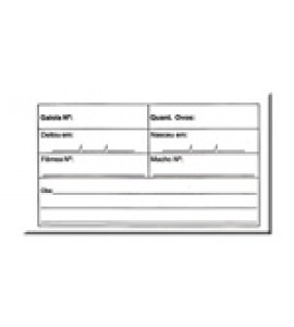 Ficha Horizontal para Criação - 5 unidades