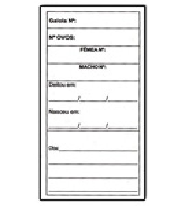 Ficha Horizontal para Criação - 5 unidades