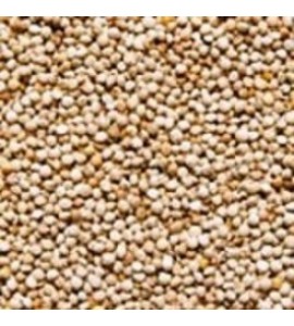 Perila Branca - 500g