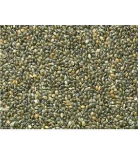 Painço Verde - 500g